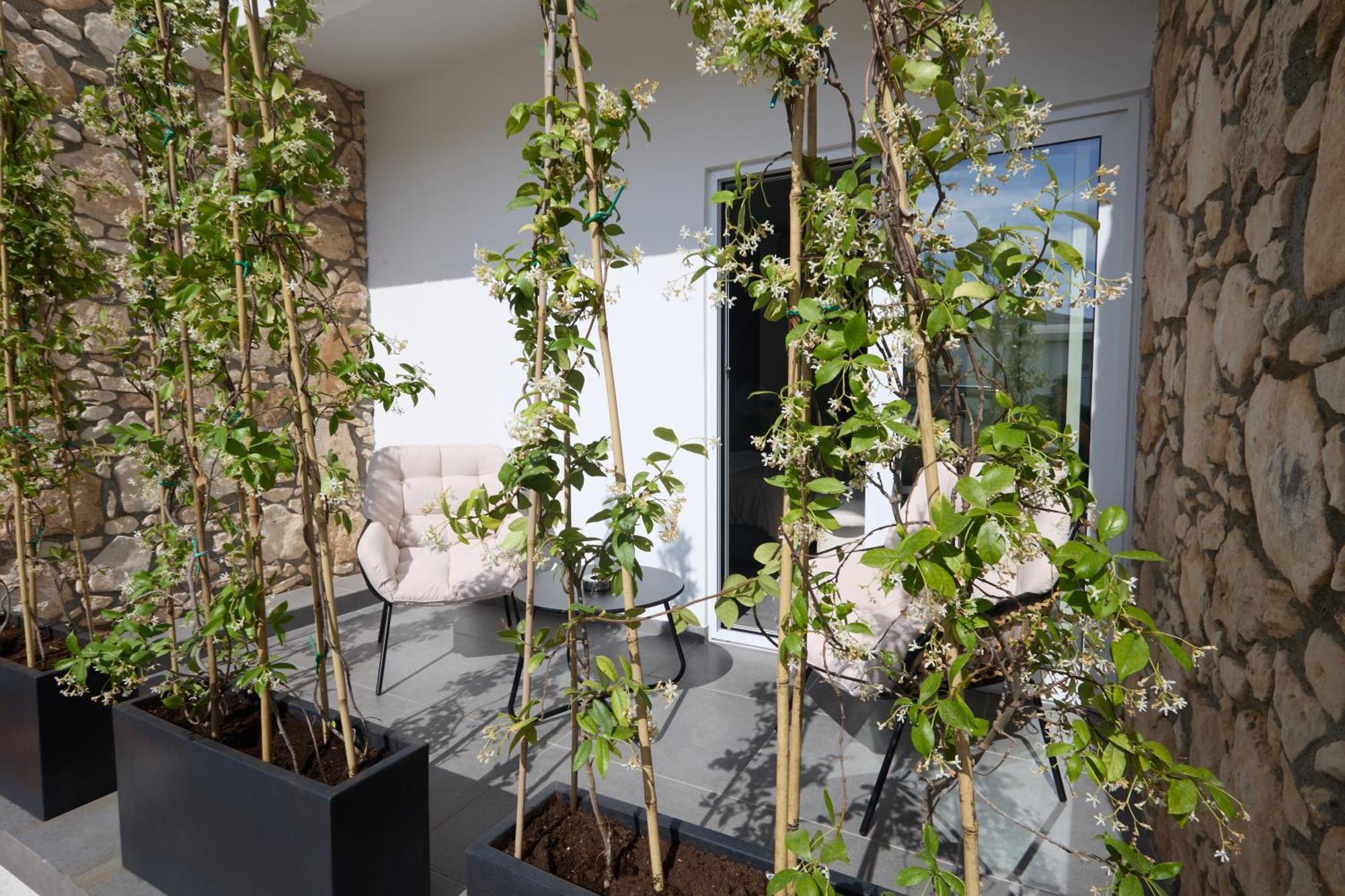 Adamandri Lodge - Prime Location 圣纳帕 外观 照片